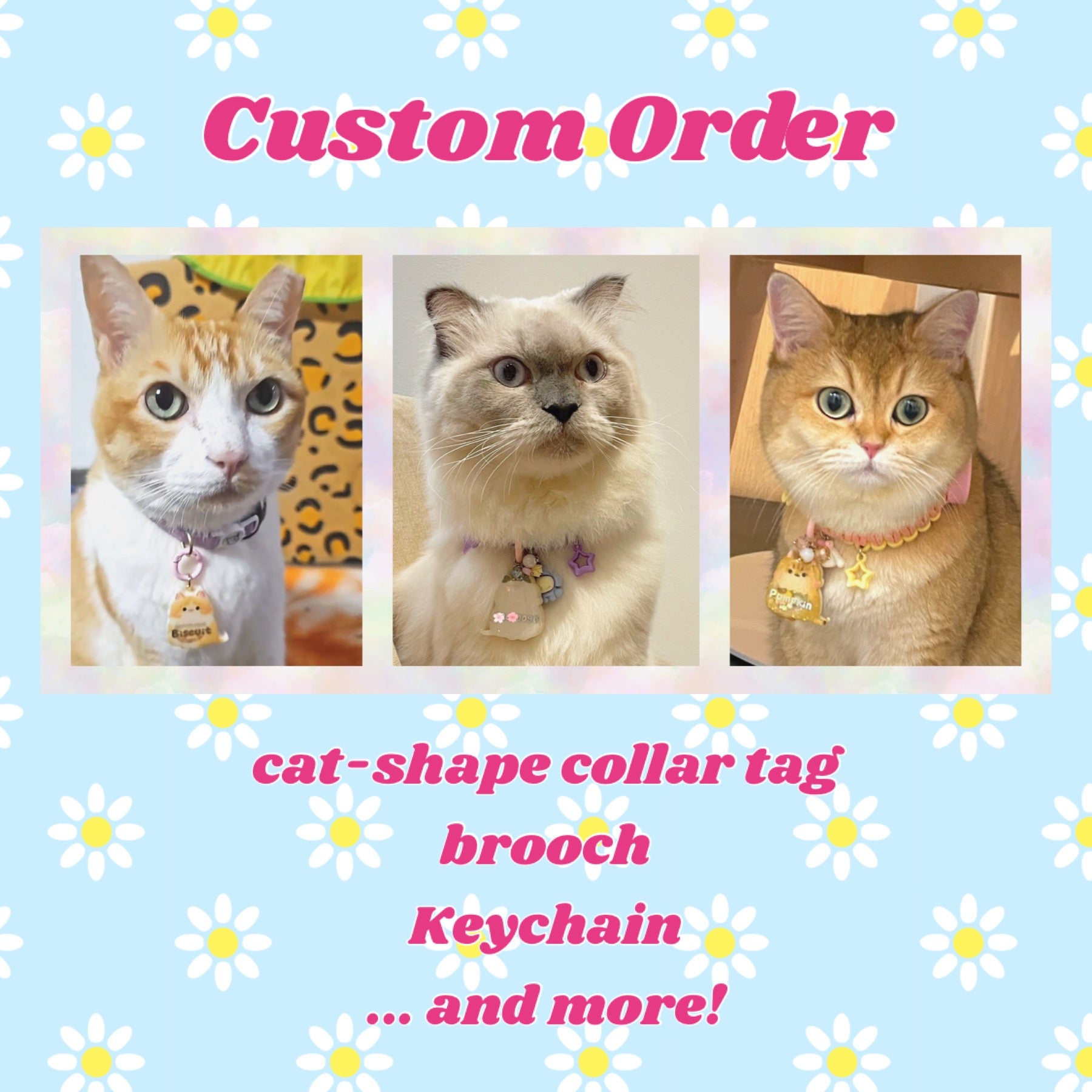 Cat-related💖Custom Order